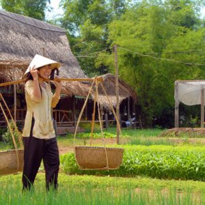 a farmer carrying two baskets on a pole through rice fields